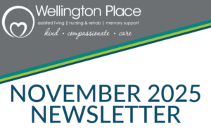 November 2025 Newsletter Wellington website graphics
