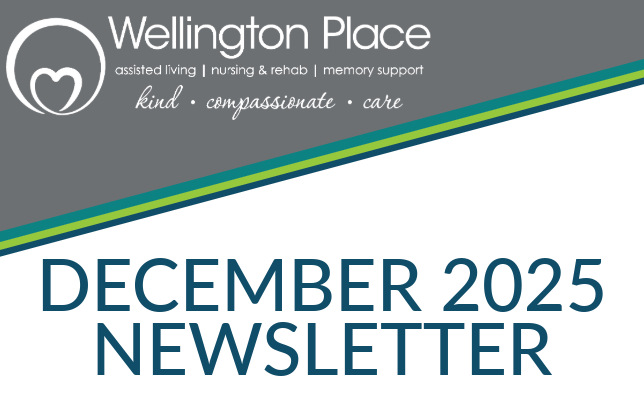 December 2025 Newsletter Wellington website graphics